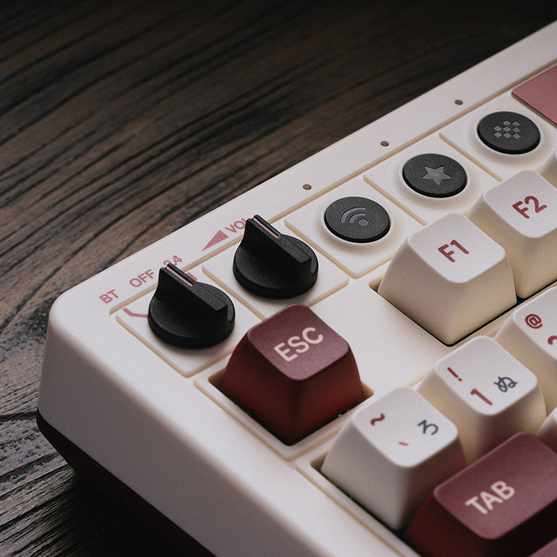8BitDo Retro Mechanical Keyboard - Mechanical Keyboard Edition for Gaming and Desktop Use