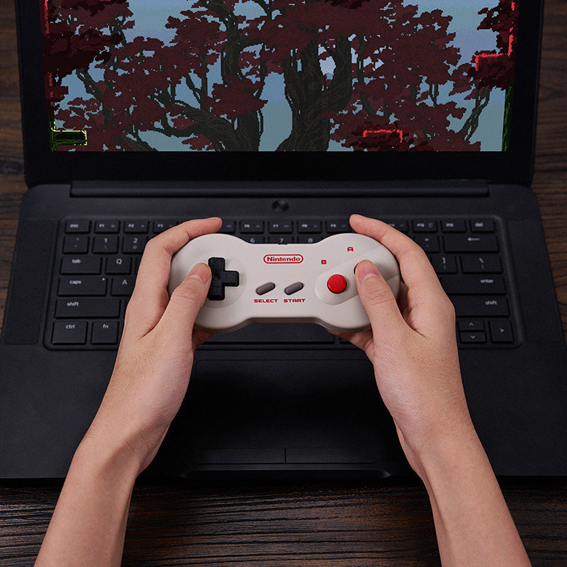 8BitDo Mod Kit for Original Dogbone Controller - Modification Kit for the Listed Classic Controller