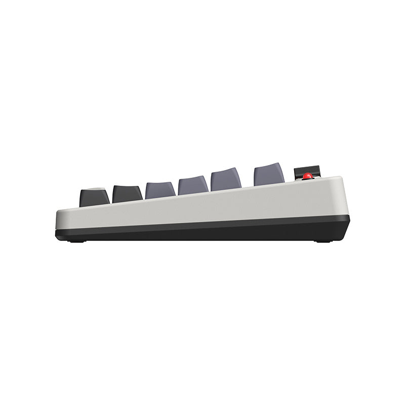 8BitDo Retro Mechanical Keyboard - Mechanical Keyboard Edition for Gaming and Desktop Use