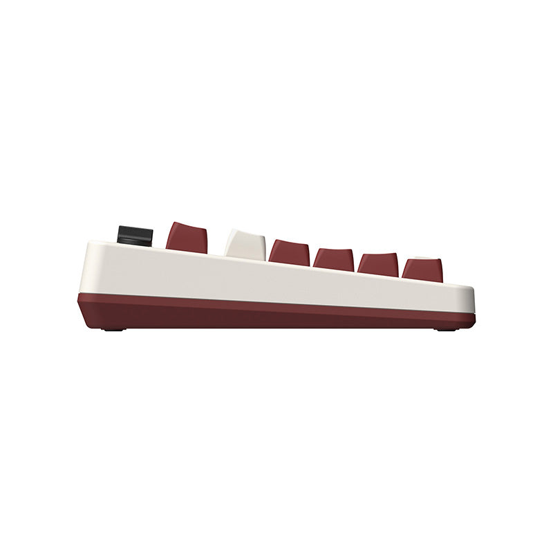 8BitDo Retro Mechanical Keyboard - Mechanical Keyboard Edition for Gaming and Desktop Use